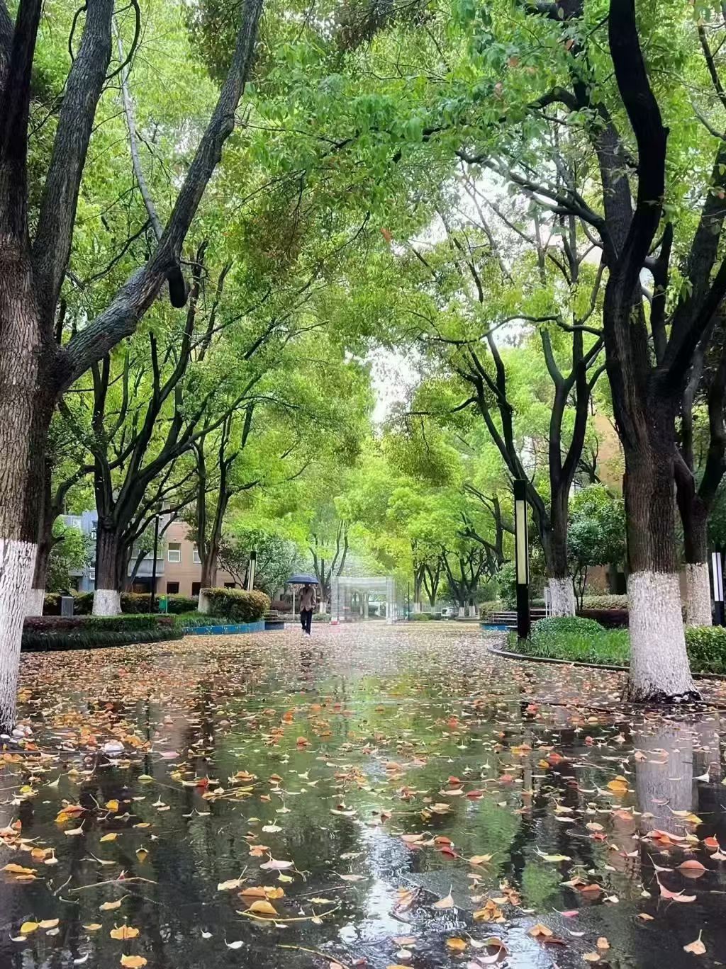 12.26 开始发圈！-炼金团队