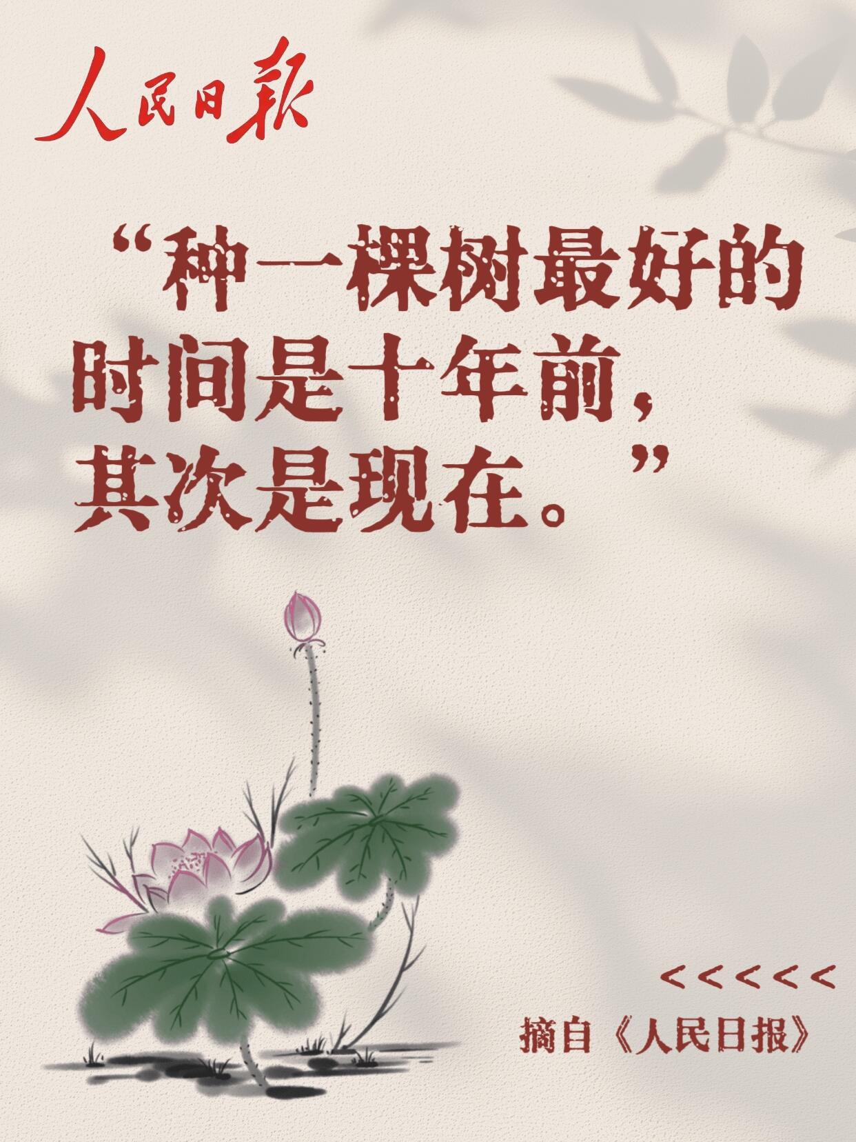 1.26 今日简报!-炼金团队