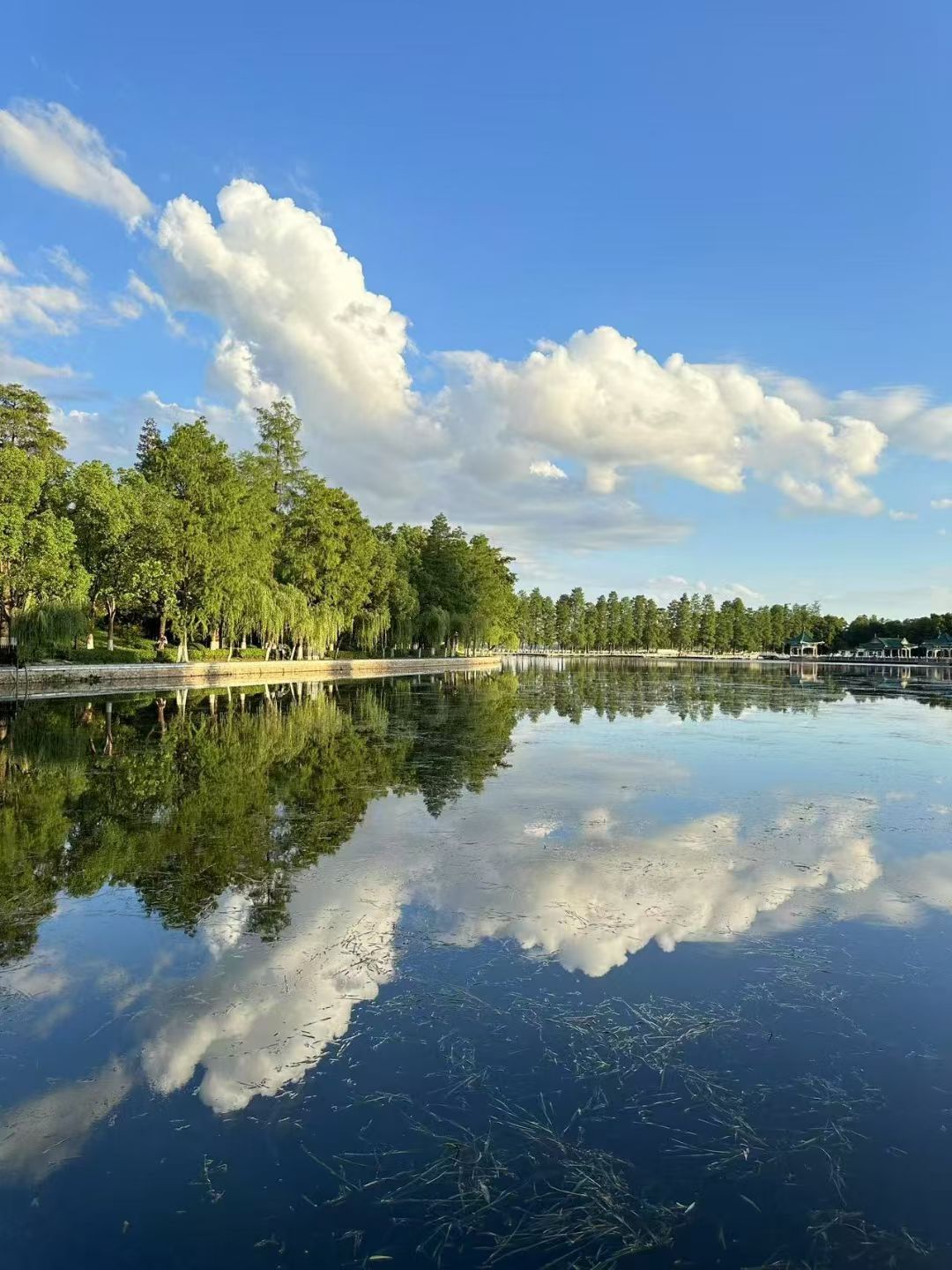 1.23 开始发圈！-炼金团队