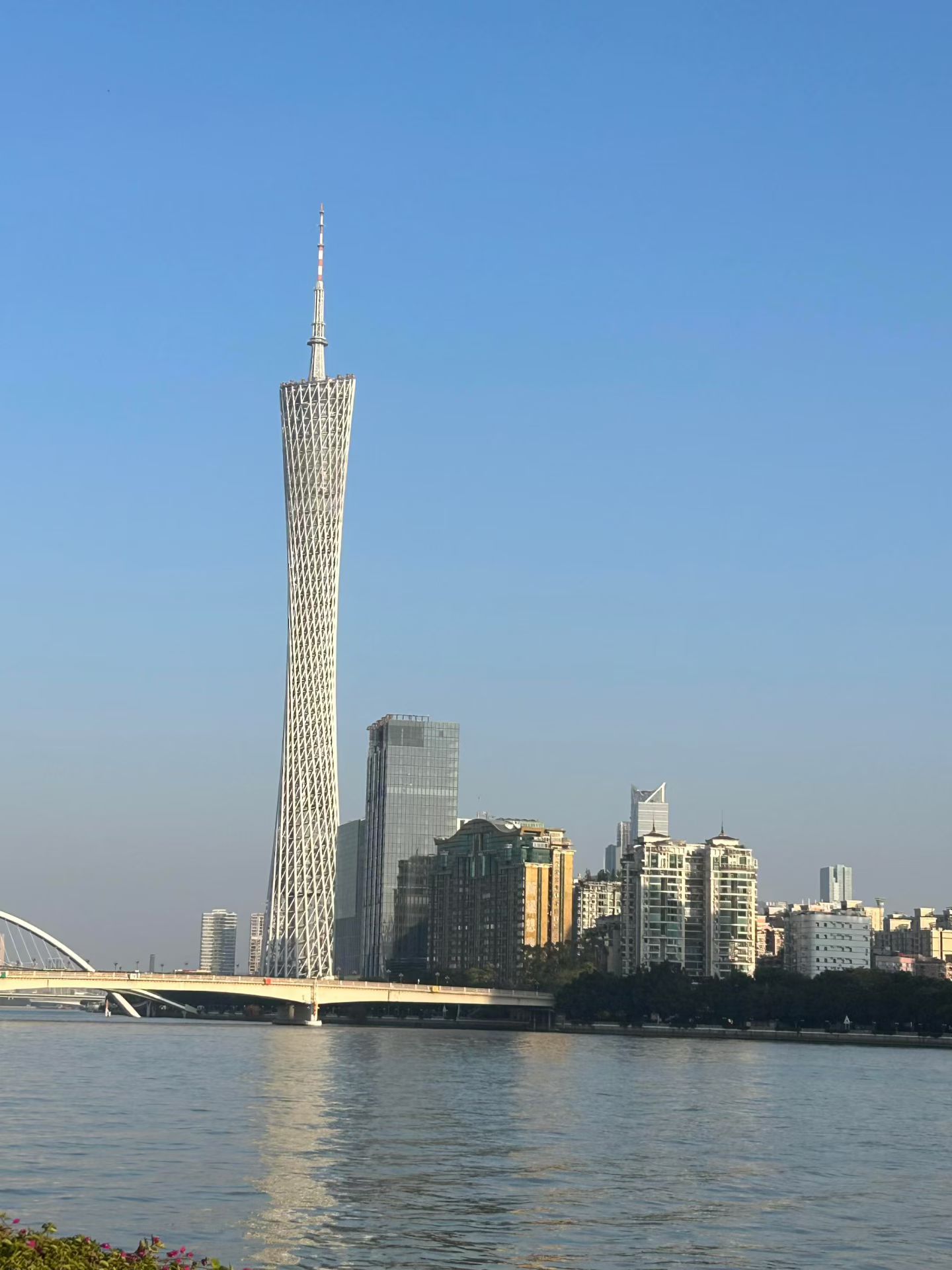 1.15 开始发圈！-炼金团队