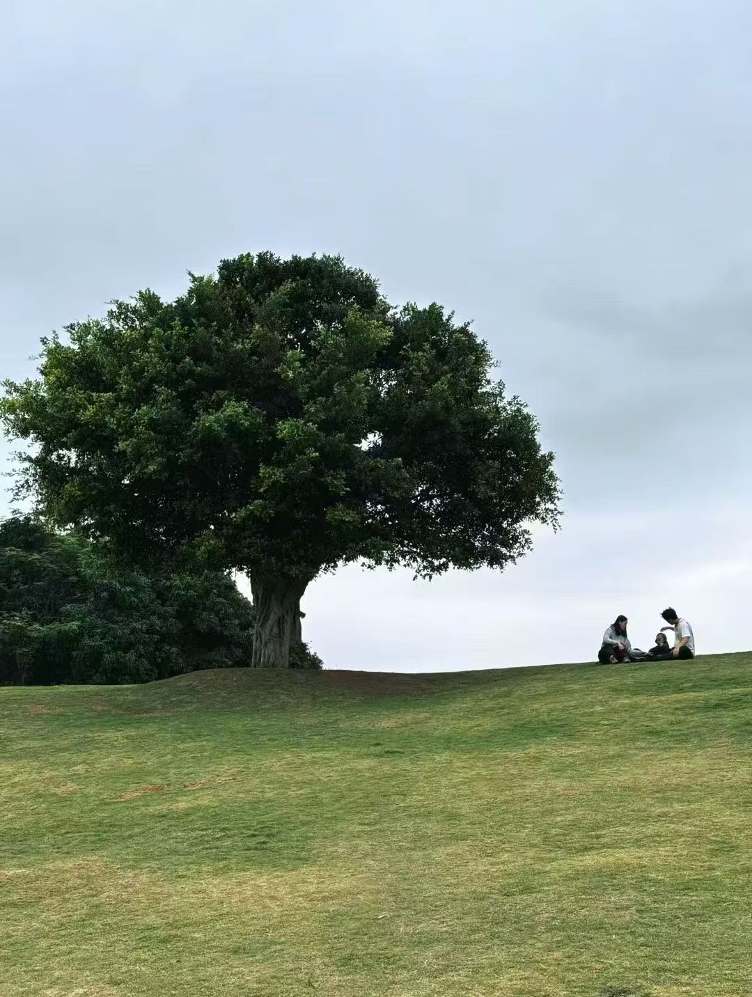 1.6 开始发圈！-炼金团队