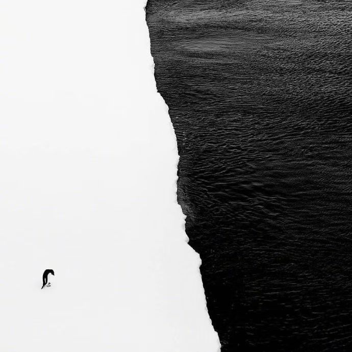 1.23 开始发圈！-炼金团队