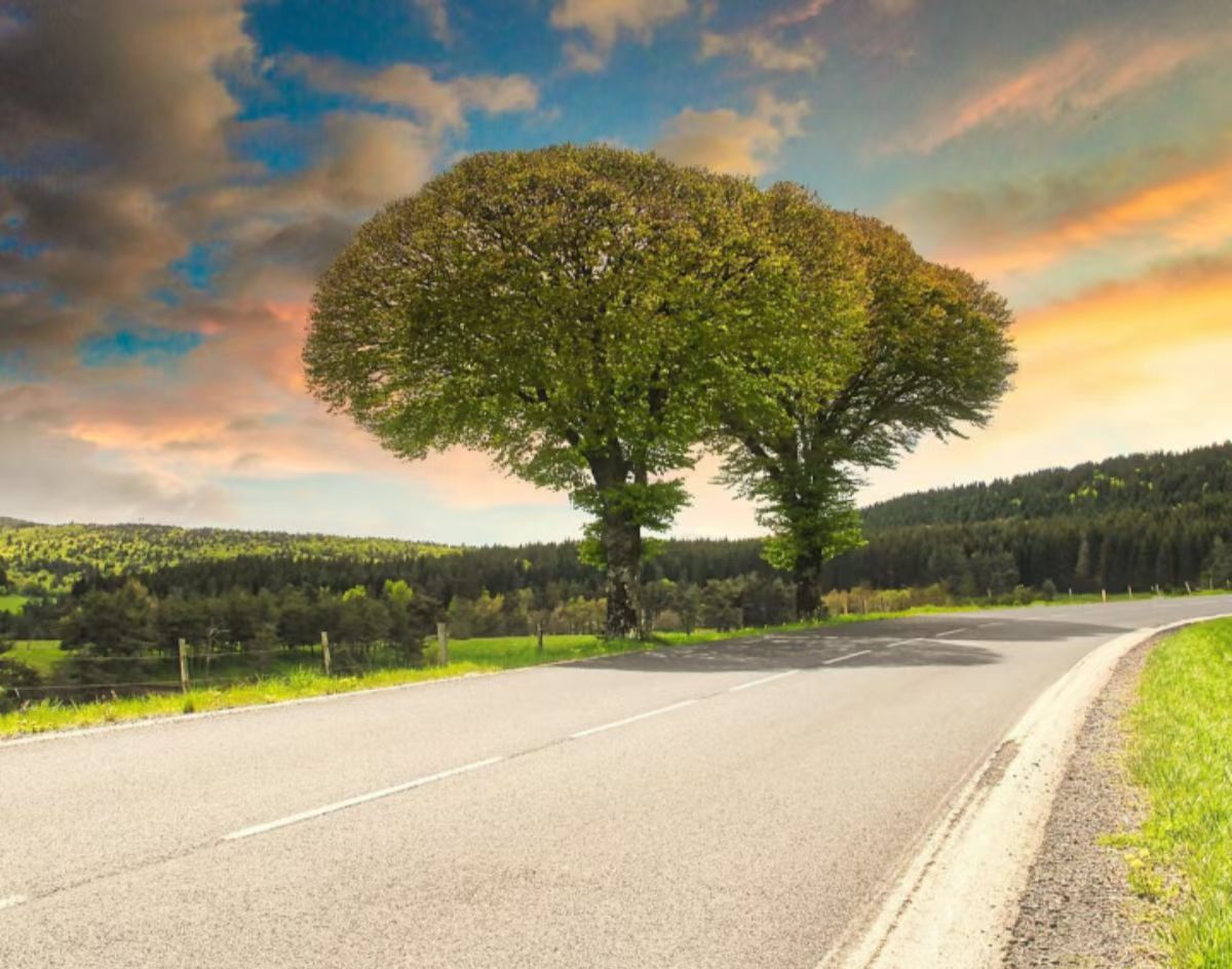 1.20 今日简报！-炼金团队