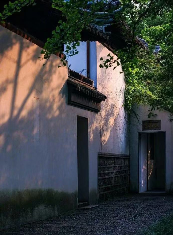 1.1开始发圈！-炼金团队