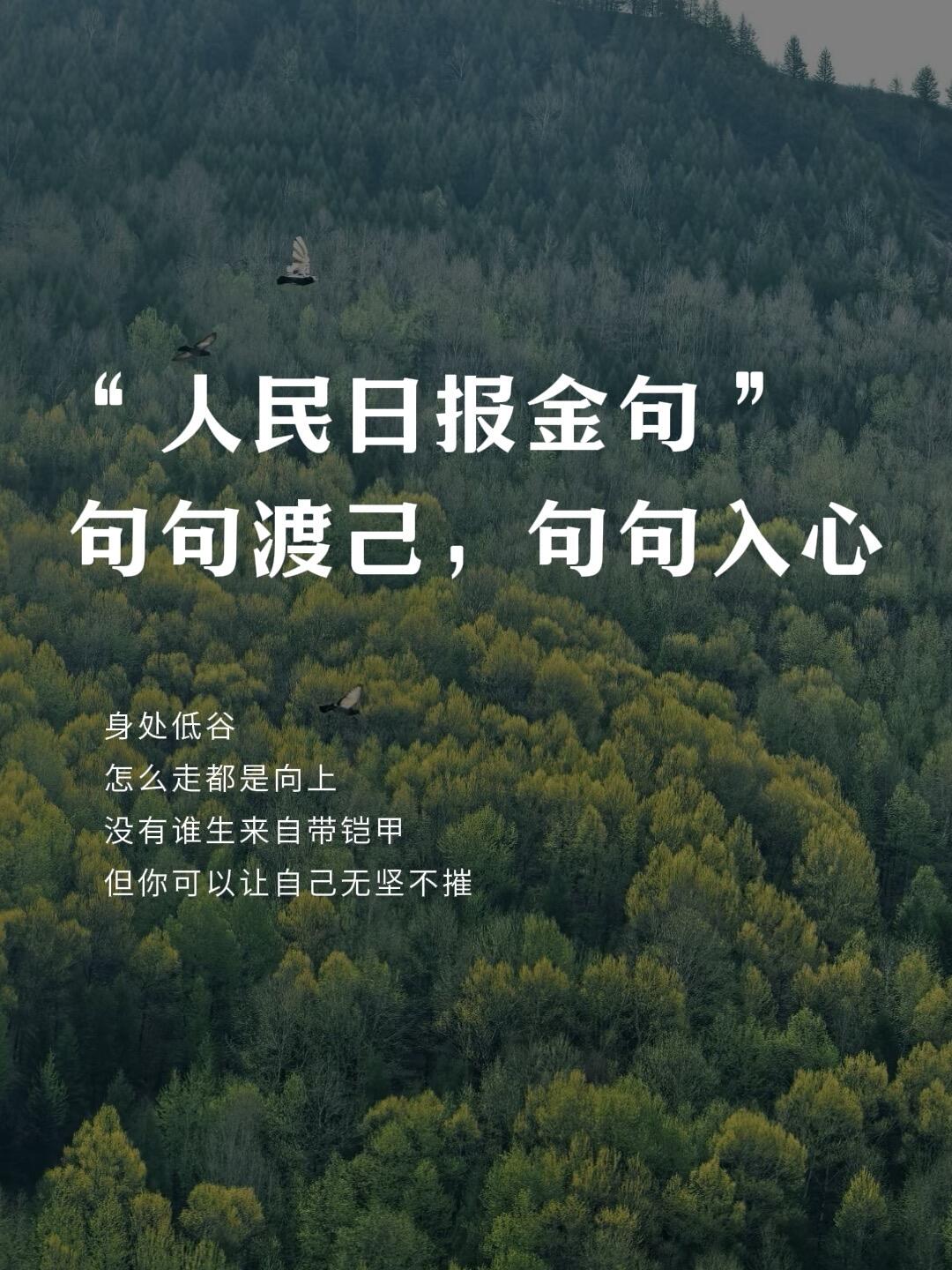 1.8 今日简报！-炼金团队