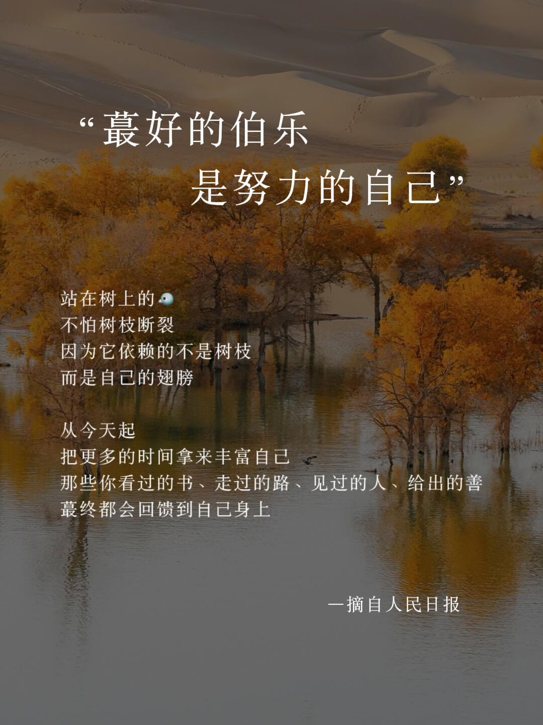 1.9 每日简报！-炼金团队