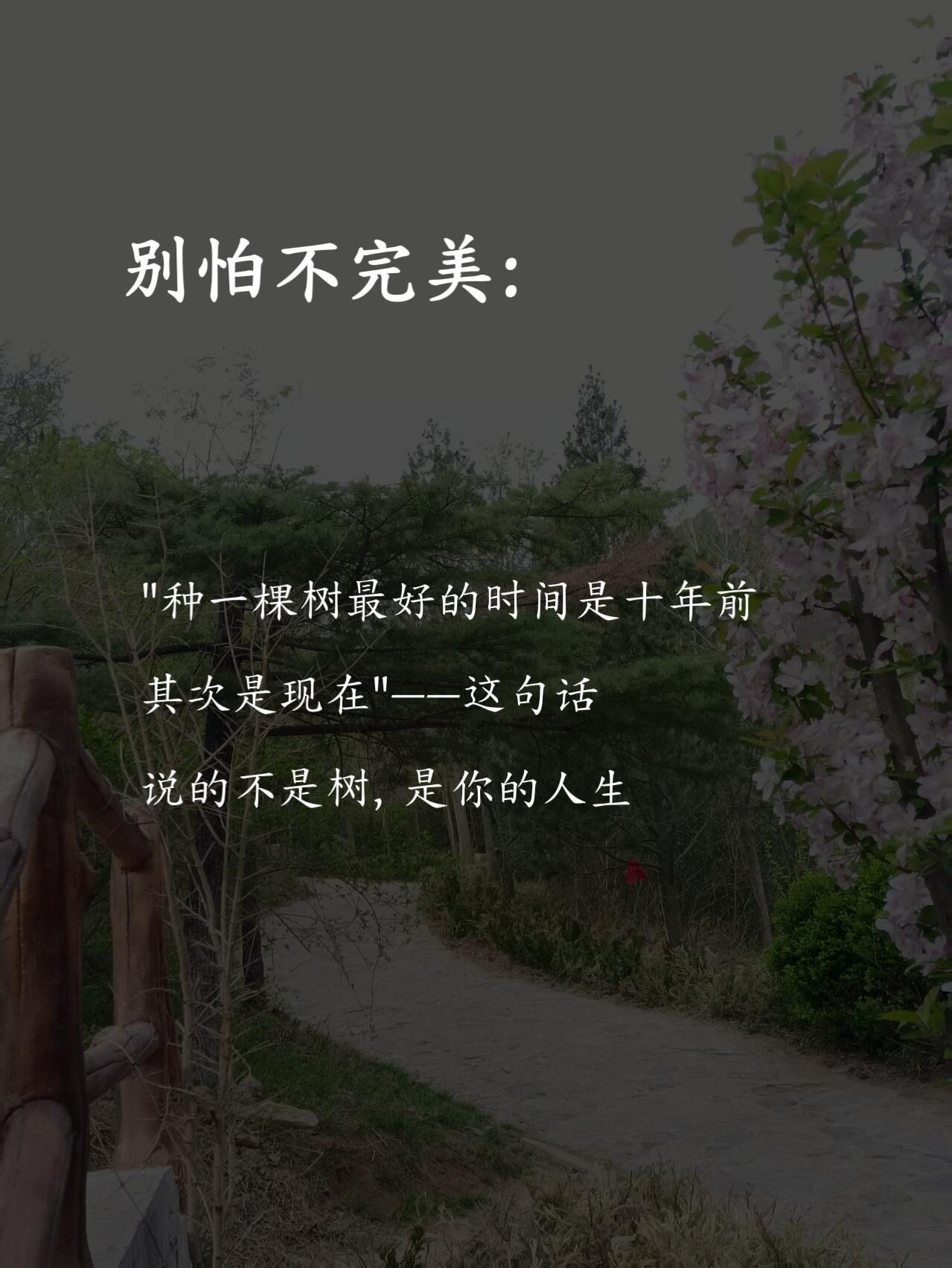 1.11 今日简报！-炼金团队