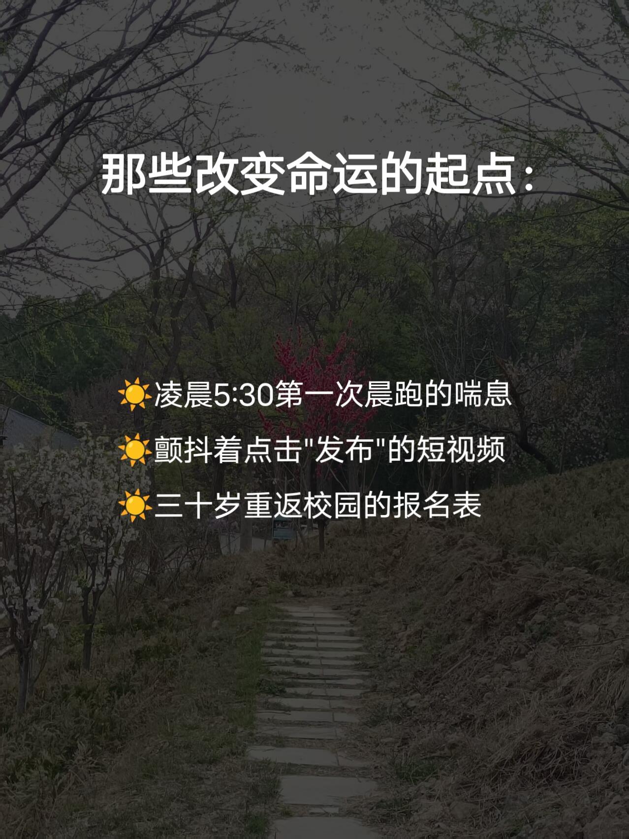 1.12 今日简报!-炼金团队