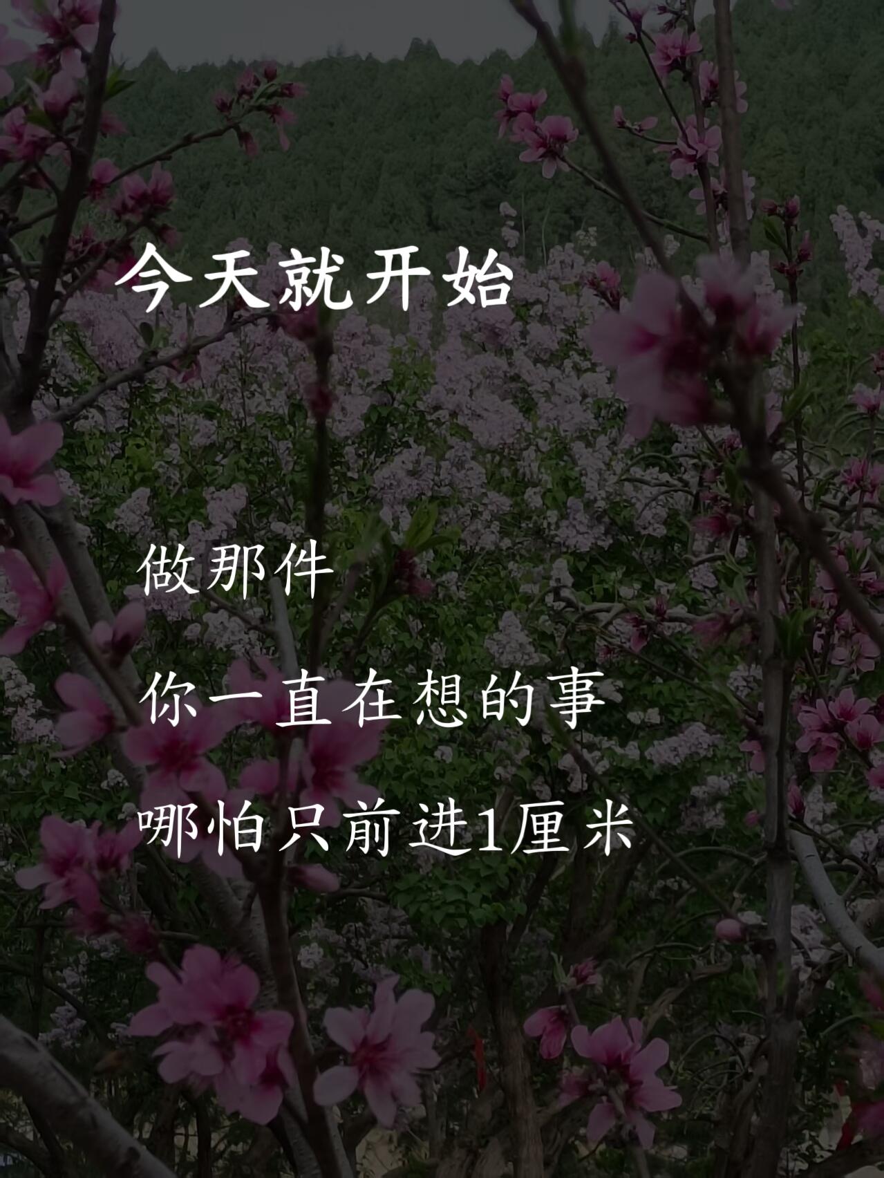 1.10 今日简报!-炼金团队