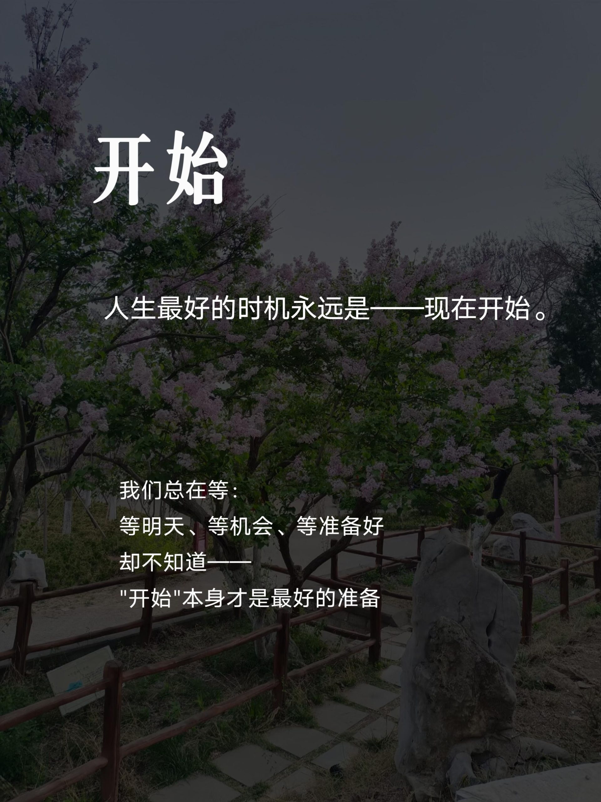 1.14 今日简报!-炼金团队